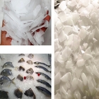 5tons ijs het Maken Machine voor de Vissen het Koelen en Behoud van de Visserijindustrie
