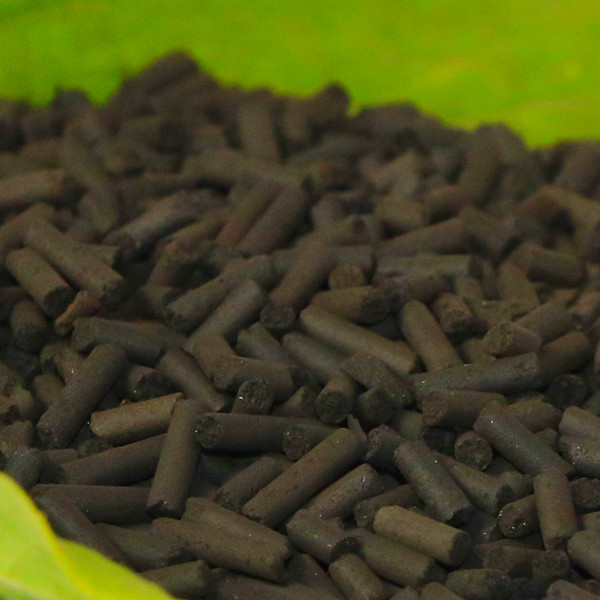 De zuilvormige Geactiveerde Componenten van de het Waterbehandeling van Houtskoolkorrels Steenkool Gebaseerde